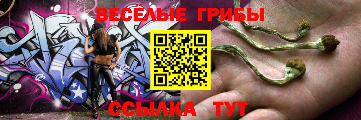 Псилоцибиновые грибы прущие грибы Дивногорск
