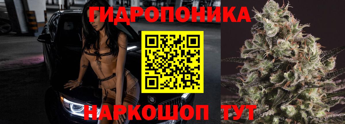 Бошки Шишки MAZAR  Вход с VPN  МАРИХУАНА ГИДРОПОН  Дивногорск  Бошки Шишки тримм 